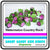 Boiled Lollies in Jars (21 x 180 Gm Jars) Goody Goody Gum Drops online lolly shop